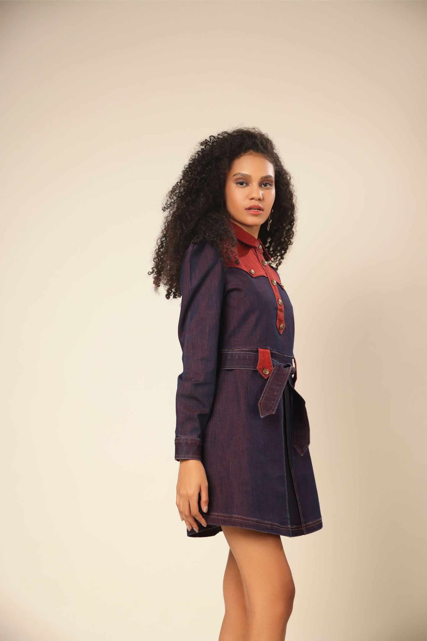 Denim Enchantress Dress